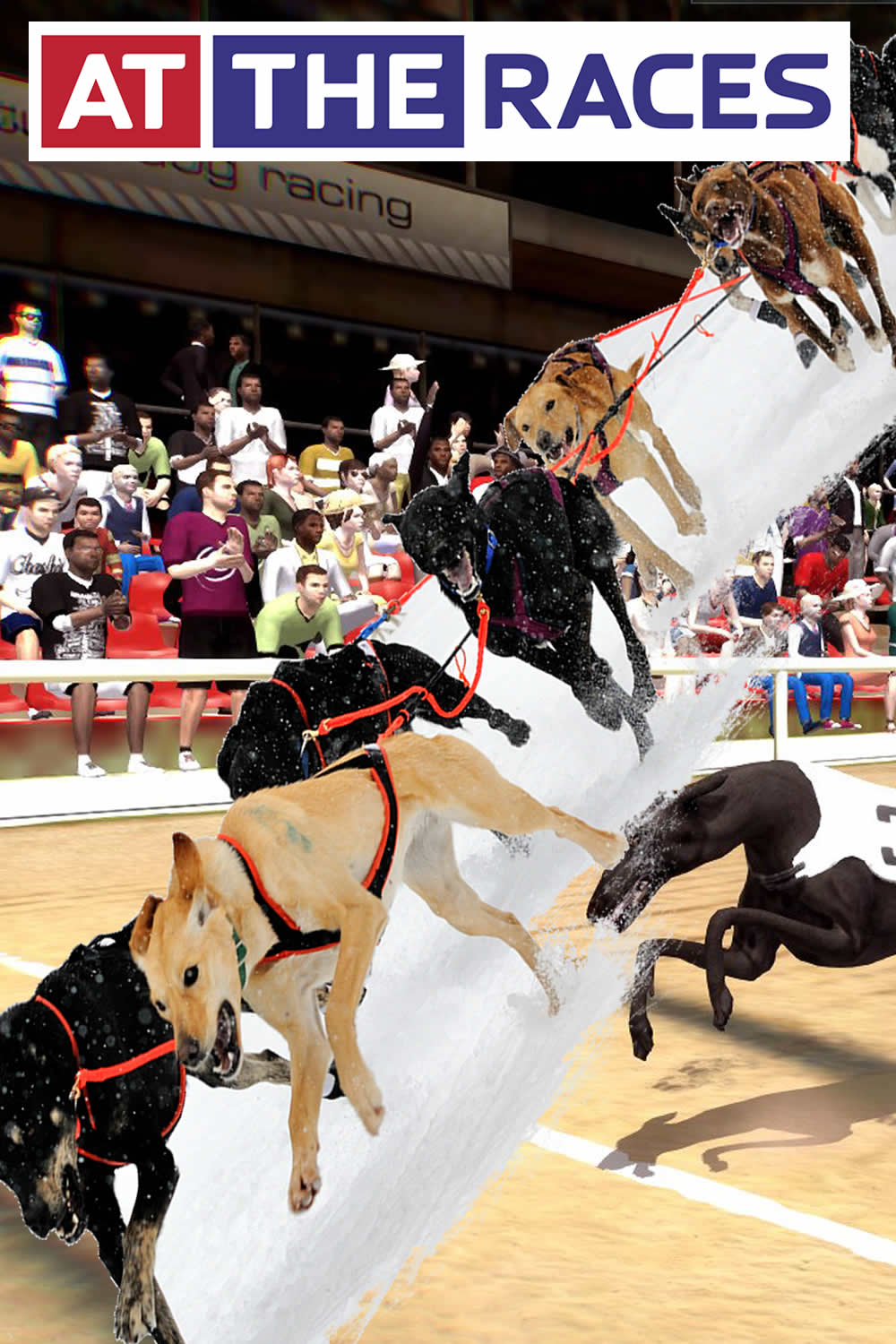 At The Races At The Races